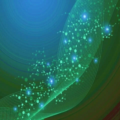 Image Title Alt Image
